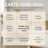 Arbre de Vie Cœur Améthyste pour Amour et Spiritualité - Biloria